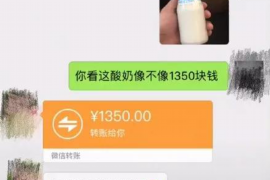 沛县专业讨债公司，追讨消失的老赖